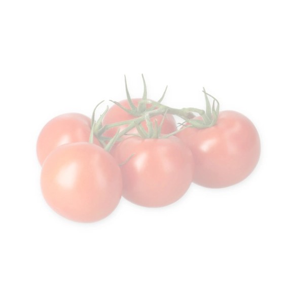 Τομάτα Αναρριχώμενη ARYSTEMA RZ F1 1000 σπόρων