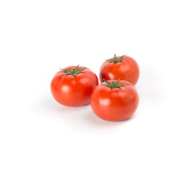 Τομάτα Αναρριχώμενη UMAGNA RZ F1 1000 σπόρων