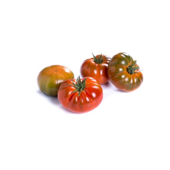 Τομάτα Αναρριχώμενη TAFURY RZ F1 1000 σπόρων