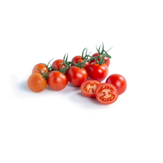 Τομάτα Αναρριχώμενη VIVALTO RZ F1 1000 σπόρων