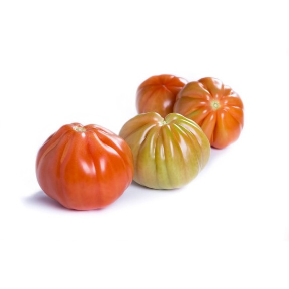 Τομάτα Αναρριχώμενη ARALDINO RZ F1 1000 σπόρων