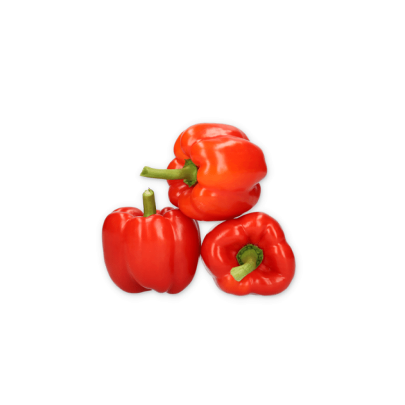 Πιπεριά Τετράγωνη κόκκινη ALZAMORA RZ F1 500 σπόρων