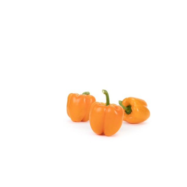 Πιπεριά Τετράγωνη πορτοκαλί TITO RABAT RZ F1 500 σπόρων