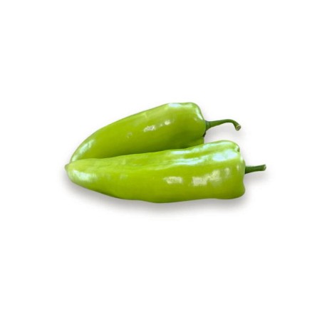 Πιπεριά Κέρατο SIFNOS RZ F1 500 σπόρων