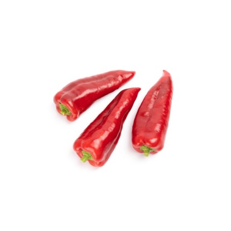 Πιπεριά Φλωρίνης BALCANICA RZ F1 500 σπόρων