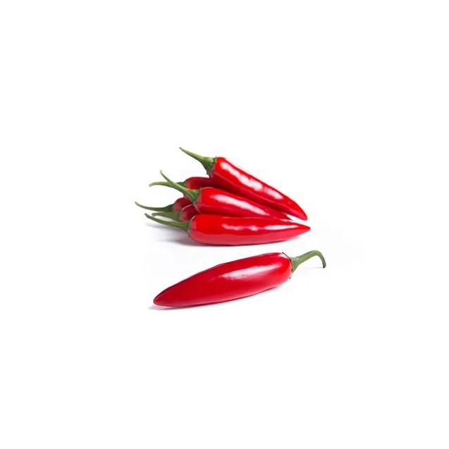 Πιπεριά Καυτερή CHIRACHA RZ F1 500 σπόρων