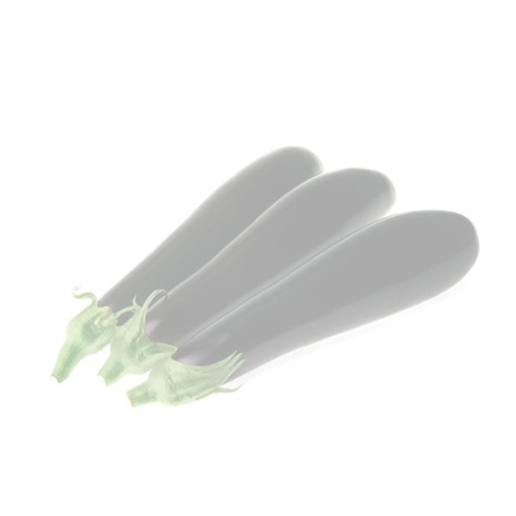 Μελιτζάνα GRETA RZ F1 500 σπόρων