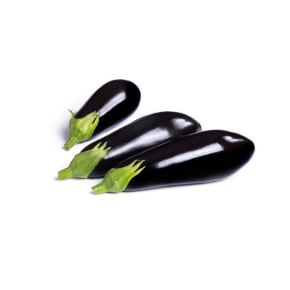 Μελιτζάνα KESIA RZ F1 500 σπόρων