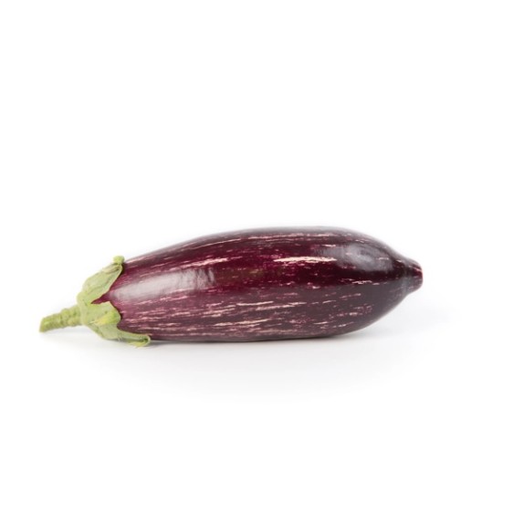 Μελιτζάνα LYDIA RZ F1 500 σπόρων