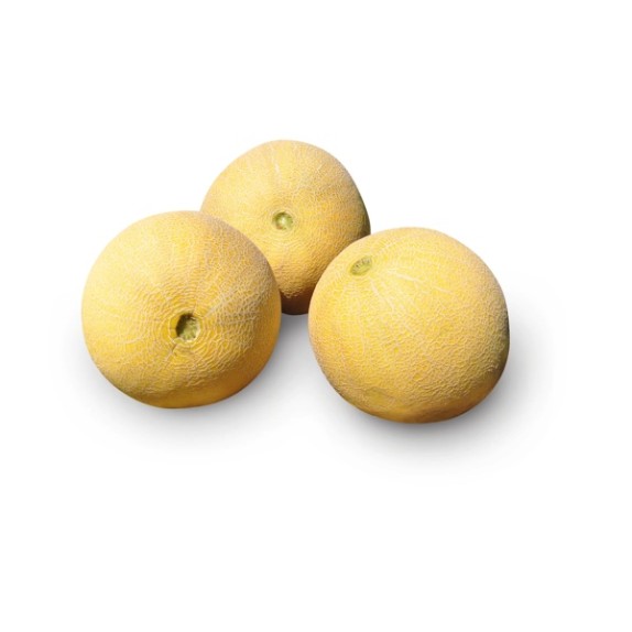 Πεπόνι JUCAR RZ F1 500 σπόρων