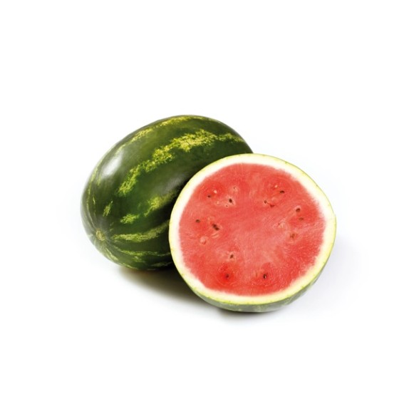 Καρπούζι BRETONA RZ F1 1000 σπόρων