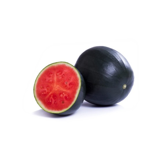 Καρπούζι CONGUITA RZ F1 1000 σπόρων