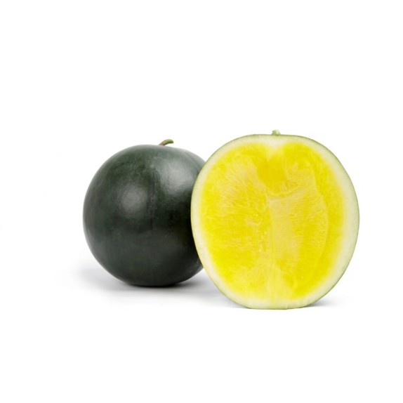 Καρπούζι TROPICAL SUNSHINE RZ (κίτρινη σάρκα) F1 1000 σπόρων