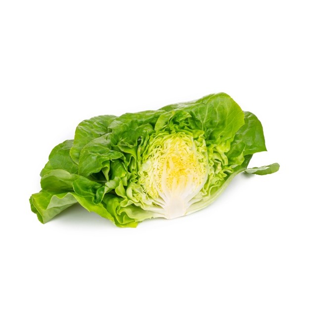 Μαρούλι Butterhead BEDUINA RZ 5000 σπόρων