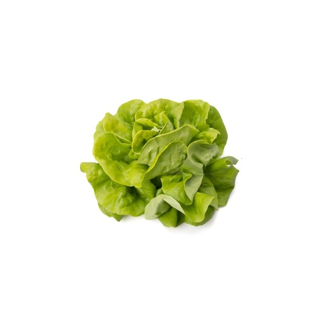 Μαρούλι Butterhead EMELDIA RZ 5000 σπόρων