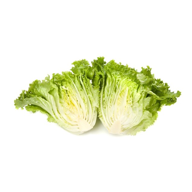 Μαρούλι Batavia EMOCION RZ 5000 σπόρων