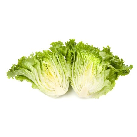 Μαρούλι Batavia EMOCION RZ 5000 σπόρων