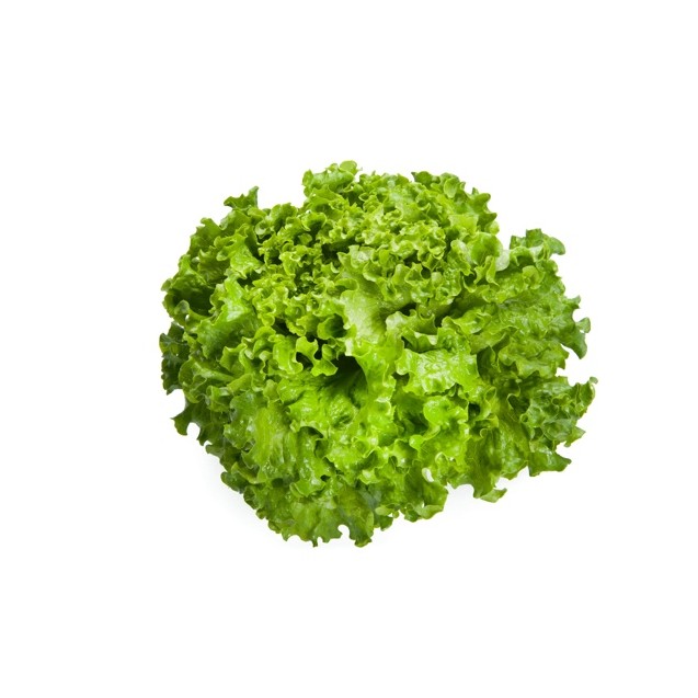 Μαρούλι Batavia GRAZION RZ 5000 σπόρων