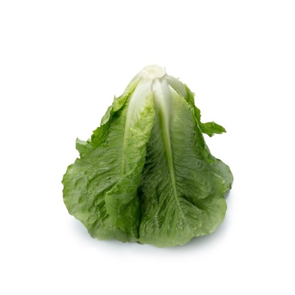 Μαρούλι Romana Cos ALLENDE RZ 5000 σπόρων