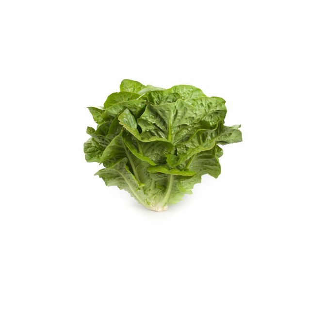 Μαρούλι Romana Cos CLAUDIUS RZ 5000 σπόρων