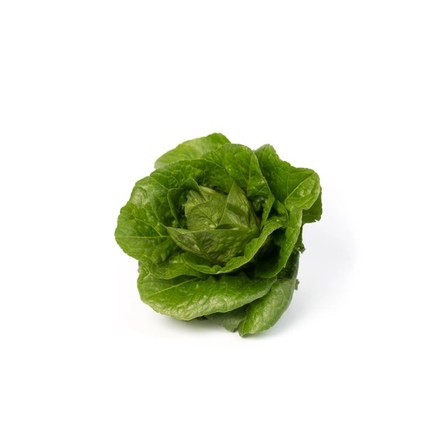 Μαρούλι Romana Cos MAXIMUS RZ 5000 σπόρων