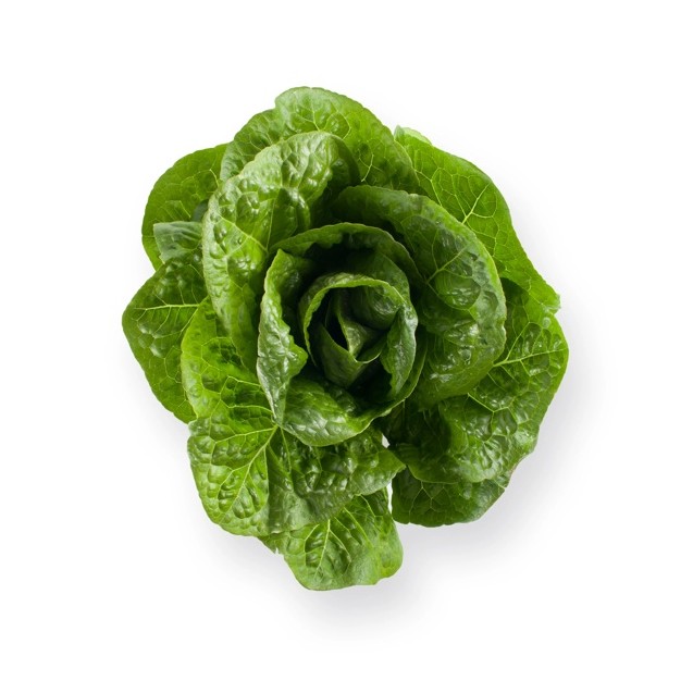 Μαρούλι Romana Cos SALVIUS RZ 5000 σπόρων