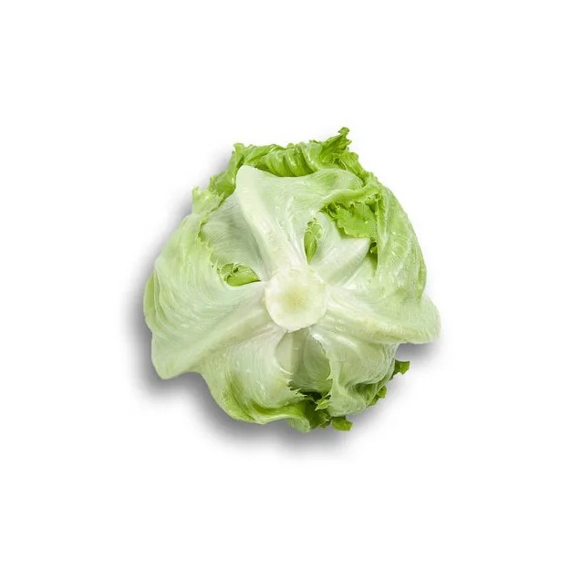 Μαρούλι Iceberg ALBANAS RZ 5000 σπόρων