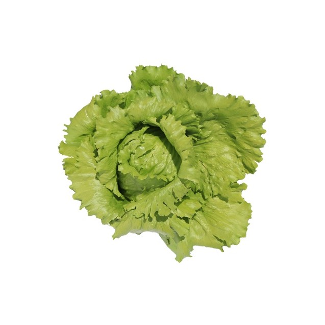 Μαρούλι Iceberg ARUANAS RZ 5000 σπόρων