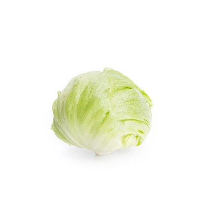 Μαρούλι Iceberg ASMARA RZ 5000 σπόρων