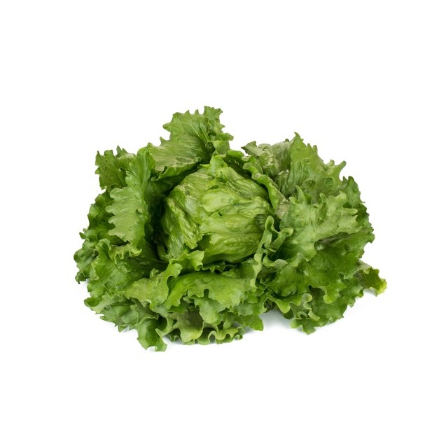 Μαρούλι Iceberg FEDDENAS RZ 5000 σπόρων