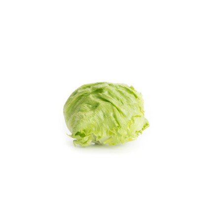 Μαρούλι Iceberg IZANAS RZ 5000 σπόρων