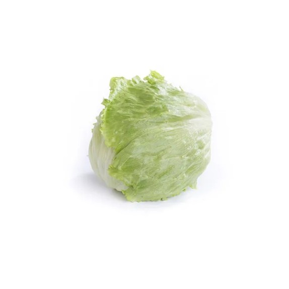 Μαρούλι Iceberg KRYOGENIA RZ Knox™ 5000 σπόρων