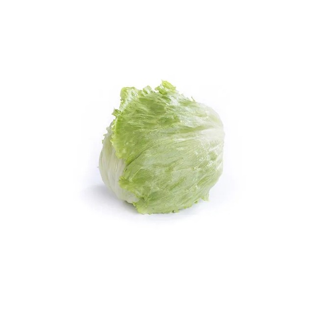 Μαρούλι Iceberg KRYOGENIA RZ Knox™ 5000 σπόρων