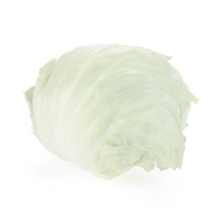 Σπόρος Μαρούλι Iceberg SIBERINAS RZ 5000 σπόρων Rijk Zwaan Hellas