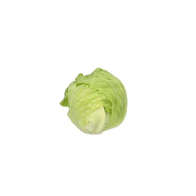 Μαρούλι Iceberg TICARINAS RZ Knox™ 5000 σπόρων