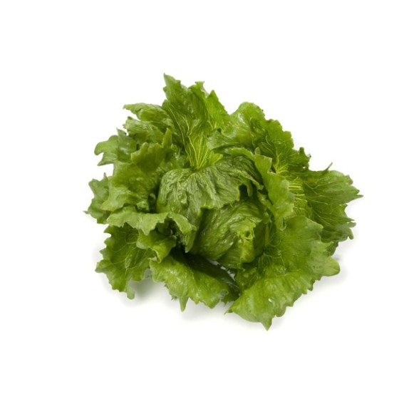 Μαρούλι Iceberg TOSCANAS RZ 5000 σπόρων