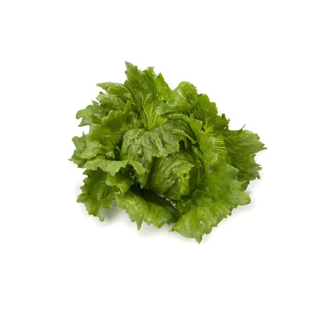 Μαρούλι Iceberg TOSCANAS RZ 5000 σπόρων