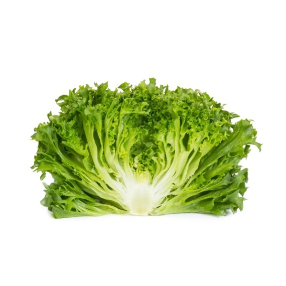 Μαρούλι Crystal lettuce DUNAND RZ 5000 σπόρων