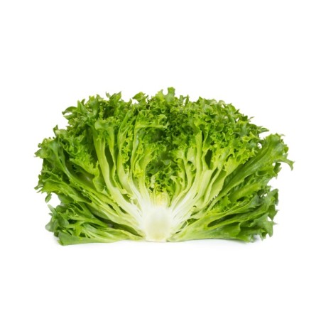 Μαρούλι Crystal lettuce DUNAND RZ 5000 σπόρων