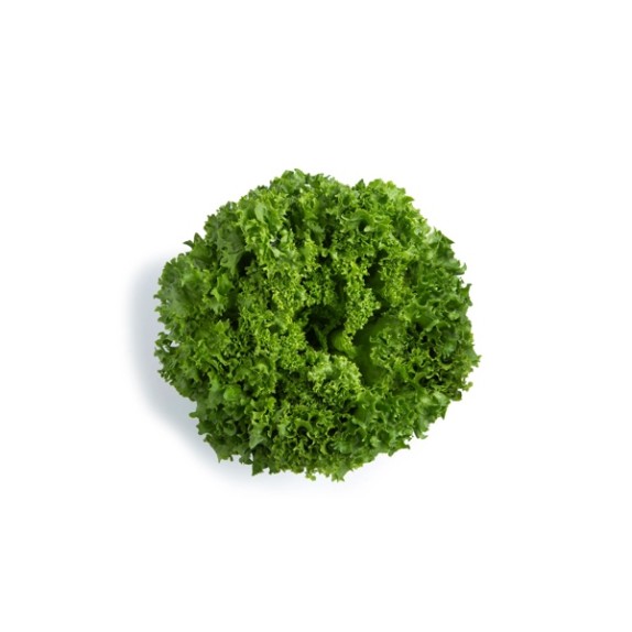 Μαρούλι Leaf lettuce LIADINE RZ Knox™ 5000 σπόρων