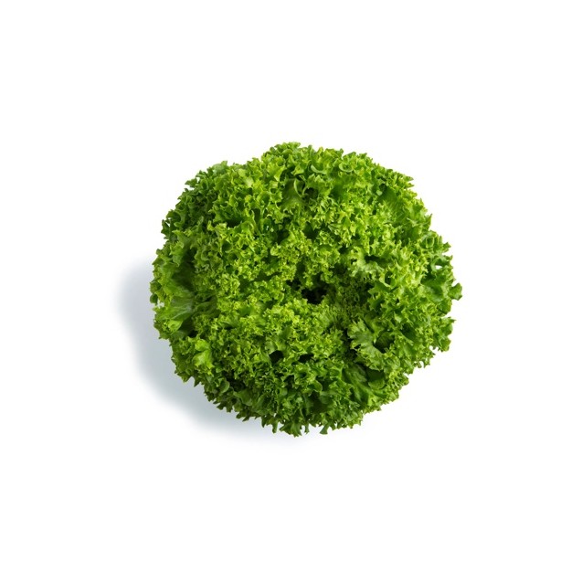 Μαρούλι Leaf lettuce LISBOA RZ 5000 σπόρων