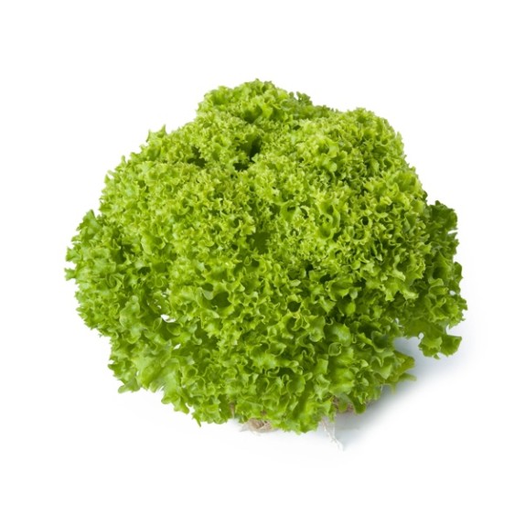 Μαρούλι Leaf lettuce LUGANO RZ 5000 σπόρων