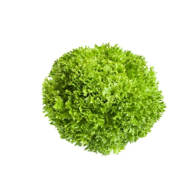 Μαρούλι Incised leaf lettuce EXPEDITION RZ 5000 σπόρων