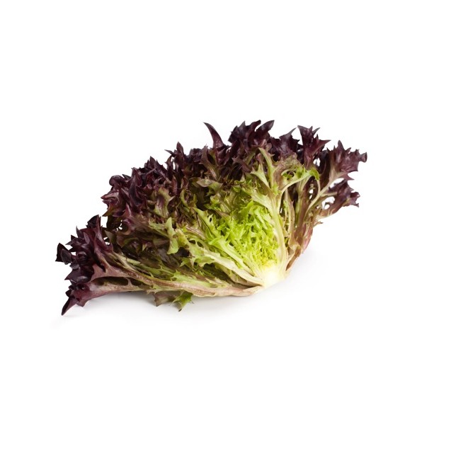 Μαρούλι Incised leaf lettuce TRIPLEX RZ 5000 σπόρων