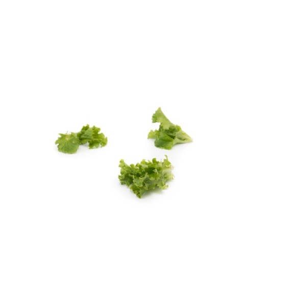 Μαρούλι Baby leaf lettuce COULTHARD RZ 1.000.000 σπόρων