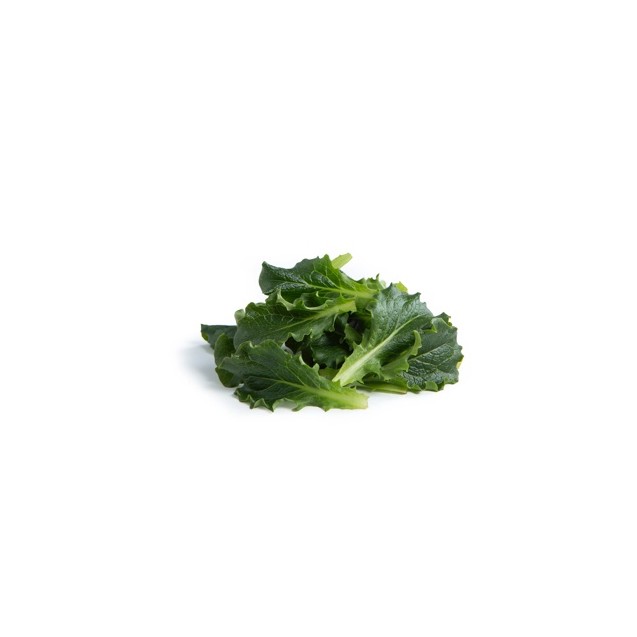 Μαρούλι Baby leaf lettuce WALTRIP RZ 1.000.000 σπόρων