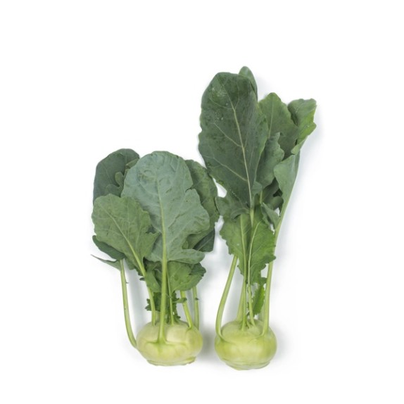 Λαχανόριζα Κολράμπι LECH RZ F1 5.000 σπόρων