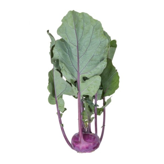 Λαχανόριζα Κολράμπι UKZA RZ F1 5.000 σπόρων