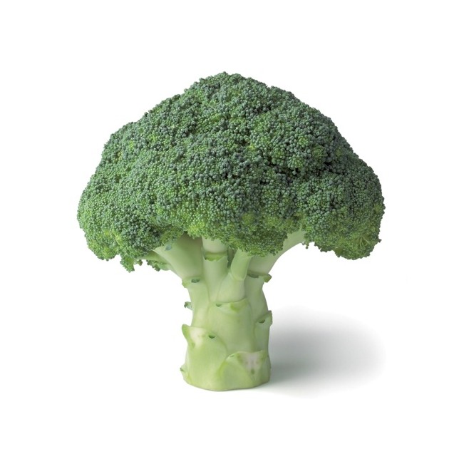 Μπρόκολο AGASSI RZ F1 (65-95 ημερών) 2500 σπόρων