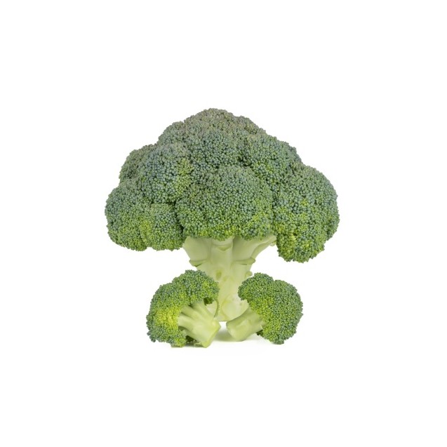 Μπρόκολο ALCARAZ RZ F1 (65-70 ημερών) 2500 σπόρων